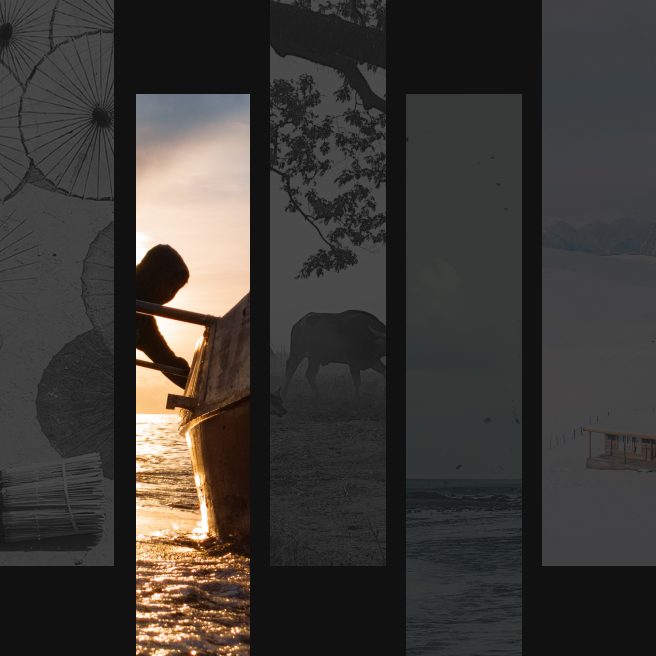 Never Settle Oneplus Malaysia